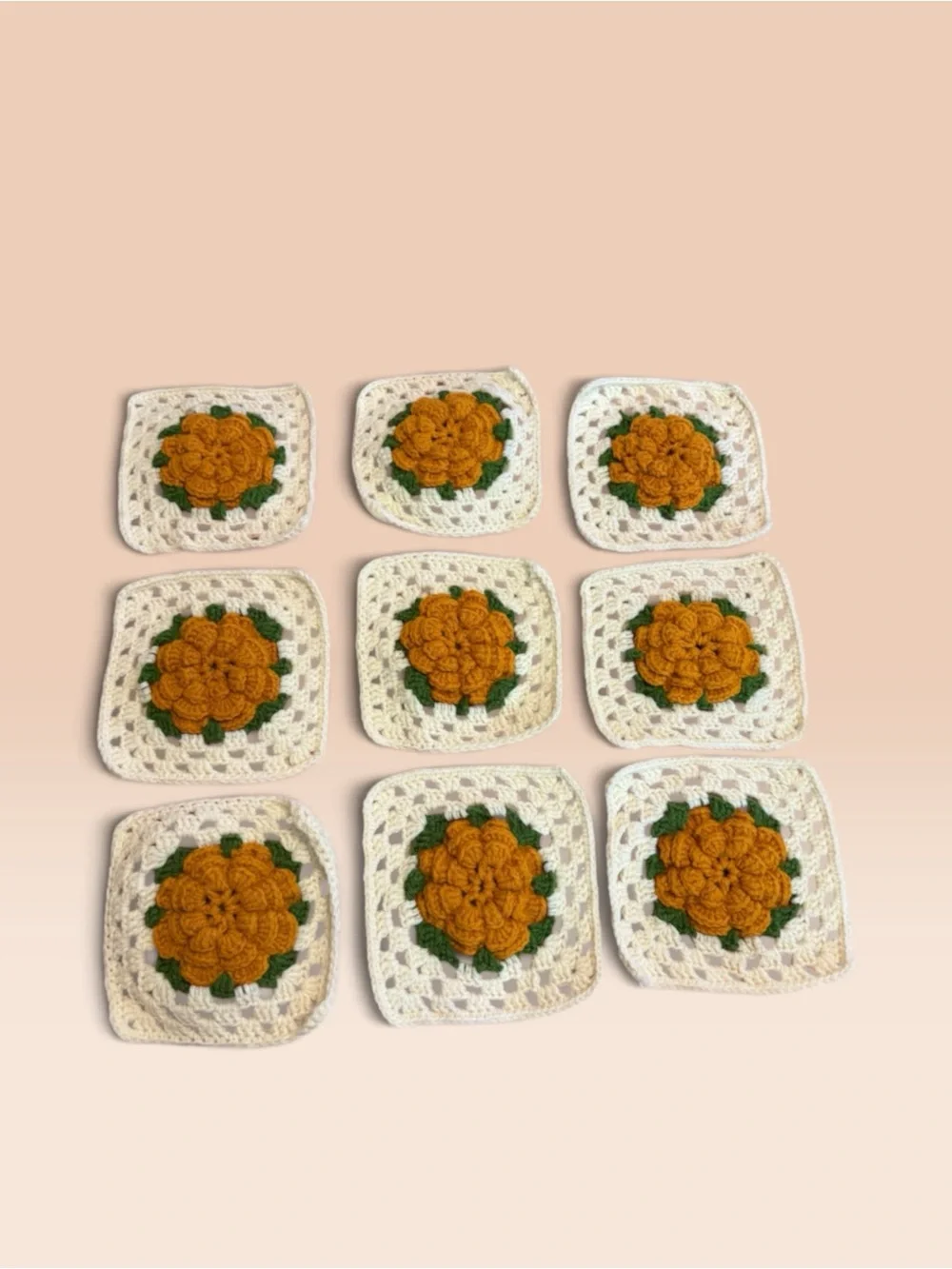 Set of 9 Handmade Crochet Flower Coasters set. Hot pot crochet trivets